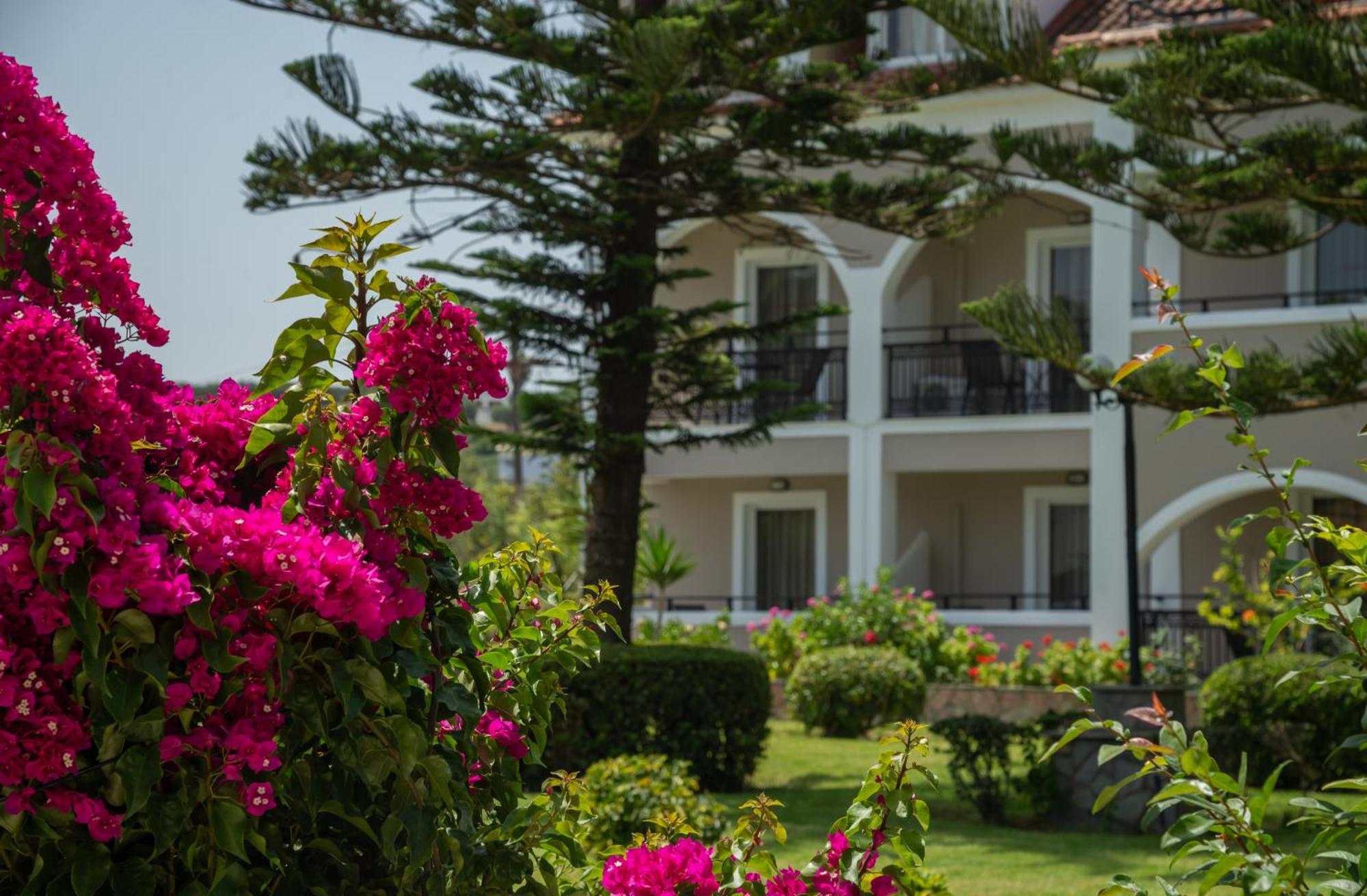 Sofia - Yiota Studios & Apartments ซีลีวี ภายนอก รูปภาพ